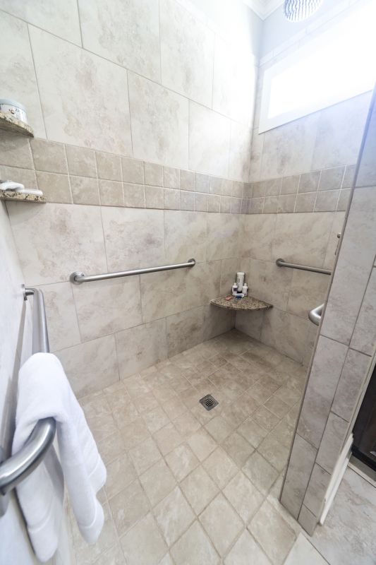 Walk-In Shower with Open Layout